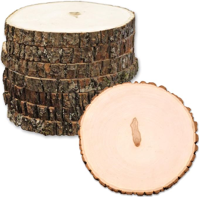 Wilson 8 Pack Basswood Round Rustic Wood Slice, Sanded Side, 9-12" Diameter