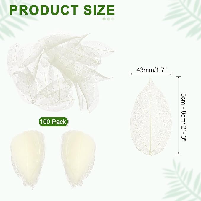 uxcell 100 Pcs White Skeleton Leaves