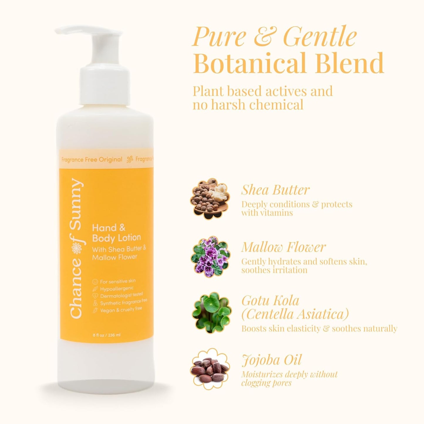Head to Toe Lotion Original - Fragrance - Free, Hydrating, Organic Shea Butter, Jojoba Oil - Pediatrician Approved, Dermatologist Recommended, for Sensitive Skin, Babies, 8 oz