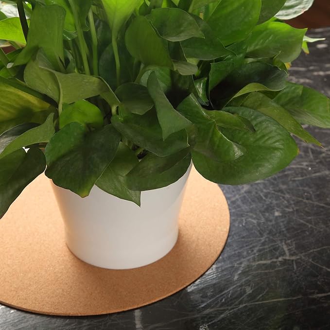Boao 2 Pcs 12 Inch Large Cork Plant Coaster Round Cork Mat Trivet Absorbent