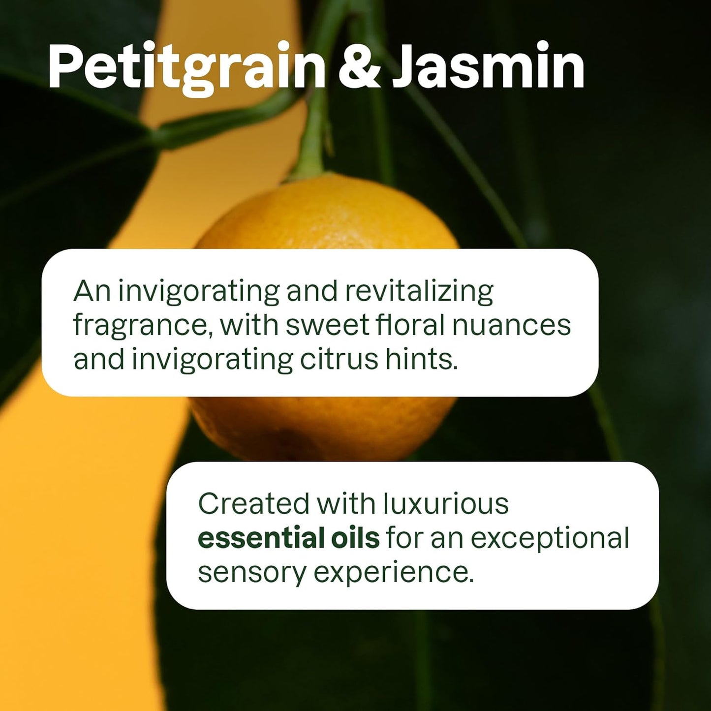 ATTITUDE Volumizing Shampoo Refill, Petitgrain and Jasmine, EWG Verified with Essential Oils, Vegan & Plant-Based, For Thin and Flat Hair, 67.6 Fl Oz