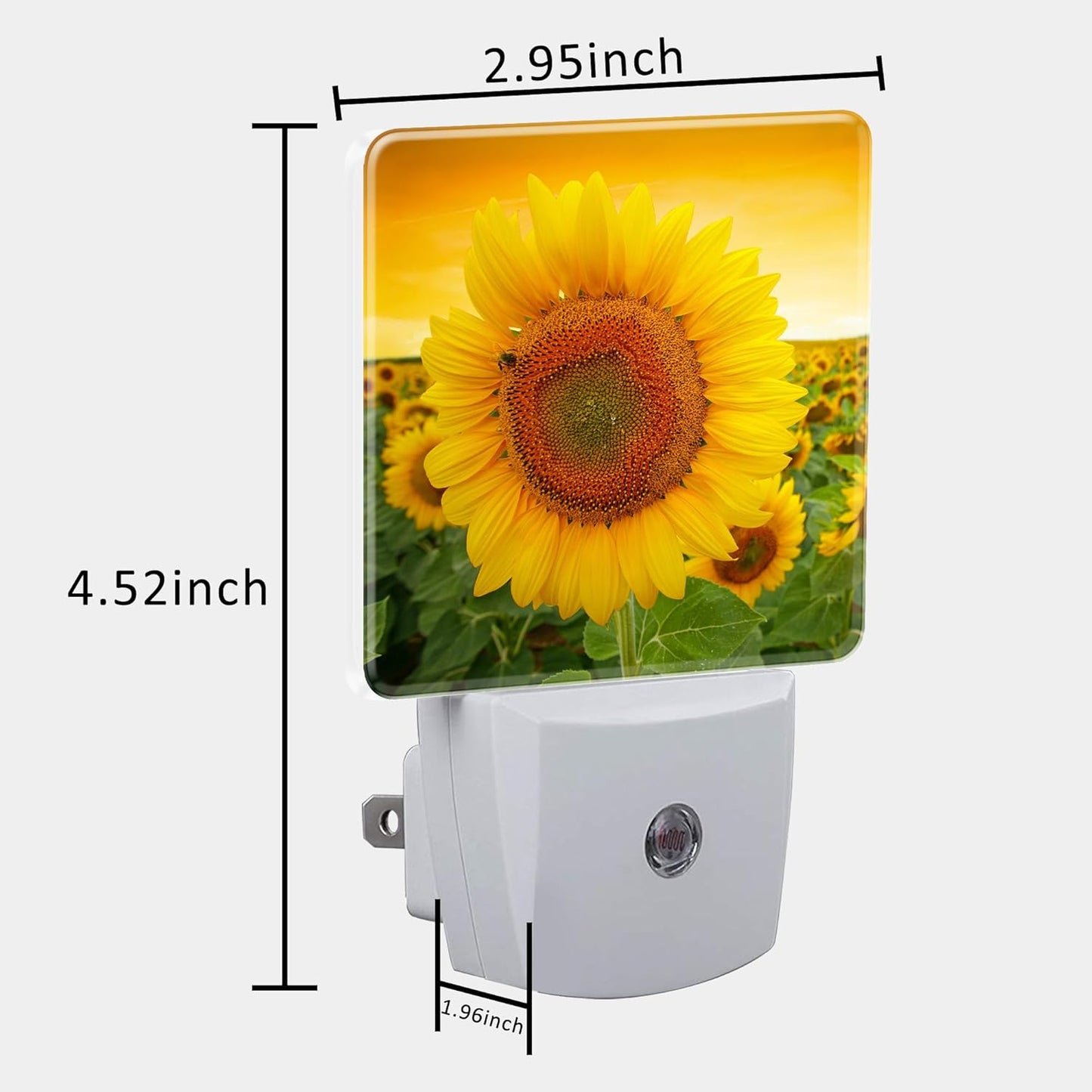 Plug in Night Lights Sunset Sunflower Field Nightlight Plug Into Wall Dusk to Dawn Sensor LED Night Light for Kid Girls Boys Women Men Room Decor, Hallway, Kitchen, Bathroom, Nursery, Stairs