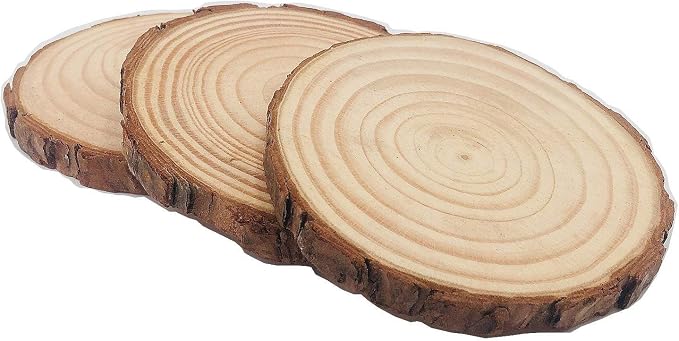 Unfinished Natural Wood Slices 12 Pcs 3.5-4 inch Craft Wood kit Circles Crafts
