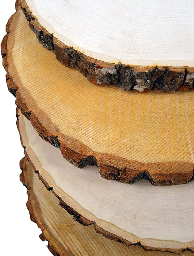 Wilson 8 Pack Basswood Round Rustic Wood Slice, Sanded Side, 9-12" Diameter