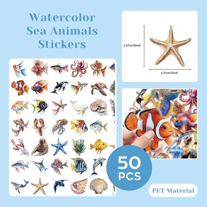 200 Pcs Clear PET Stickers