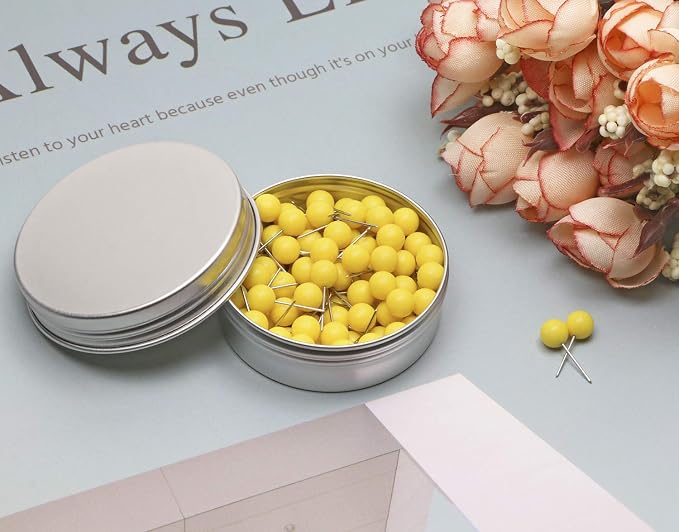 Tupalizy 100PCS 1/4 Inch Small Round Head Map Tacks Pins