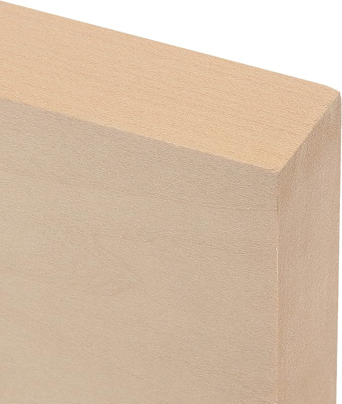 LEXININ 20 PCS 4 x 4 x 1 Inch Square Wood Carving Blocks, Unfinished Basswood