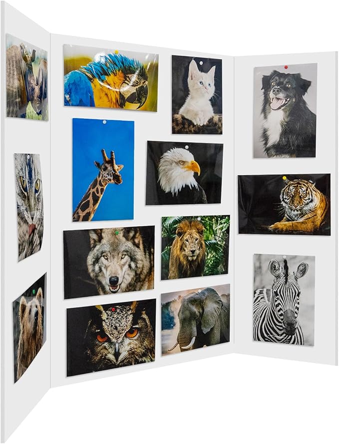 Foam Board Trifold 52 x 40 x 3/16", Large Foam Core Poster Board | 5 Pack