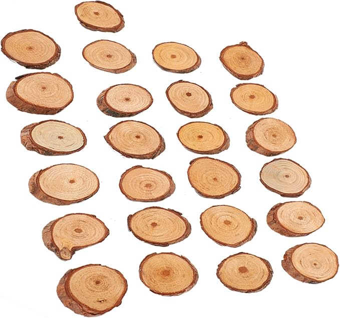 Rustic Unfinished Wooden Ornament Craft Kit 25 Piece DIY Blank Set
