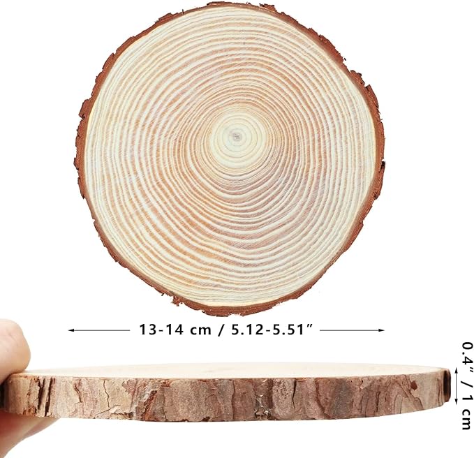 FSWCCK 17 PCS Unfinished Wood Slices