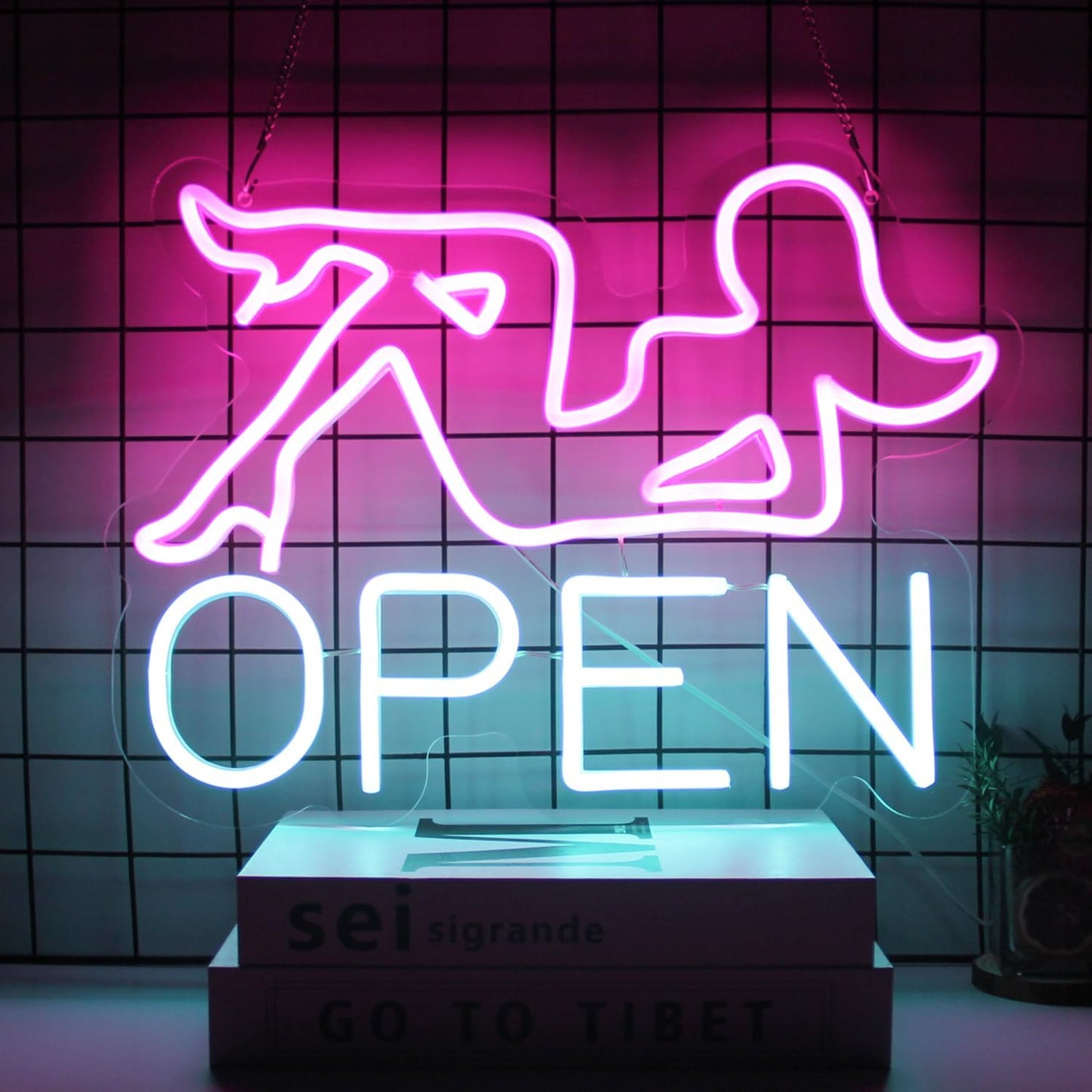 Open Neon Sign Bar LED Sign Pink Lady Neon Signs for Wall Decor Blue Letter Neon Light Up Sign for Bar Restaurant Hotel Shop Club Decor Party Sign Wall Art USB Powered