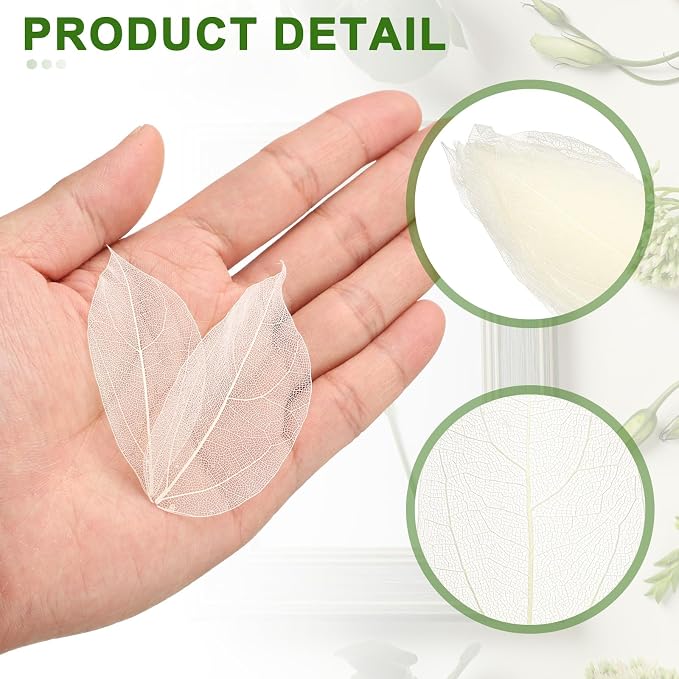 uxcell 100 Pcs White Skeleton Leaves