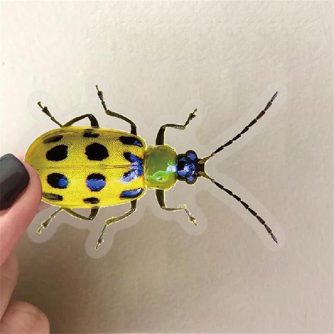 Bug Decals, Realistic Transparent Insect PET Sticker, Waterproof Bug Stickers