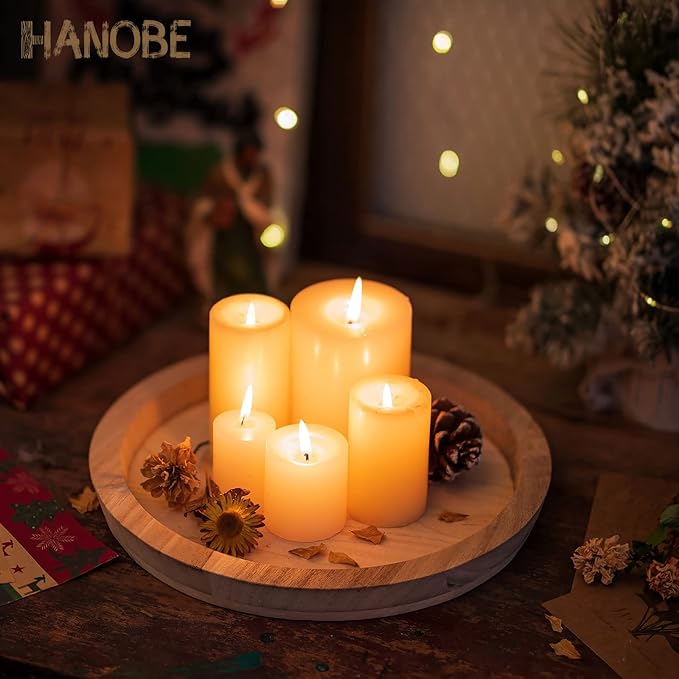 Hanobe Unfinished Round Wooden Craft Trays