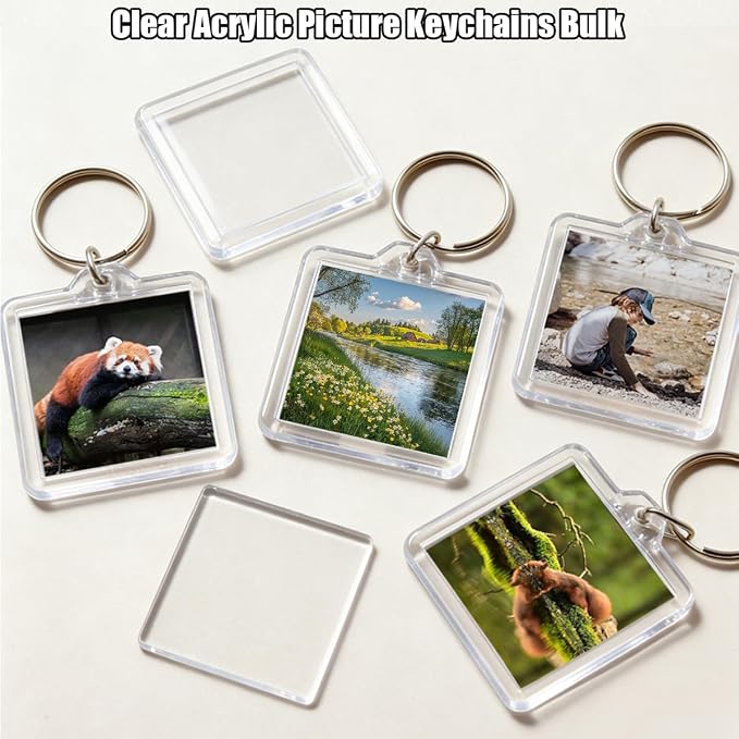 REDANHA 12pcs Acrylic Photo Frame Keychain Holder 2 x 3 In Picture Insert Blank