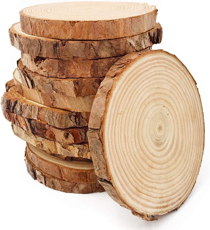 Unfinished Natural Wood Slices 12 Pcs 3.5-4 inch Craft Wood kit Circles Crafts