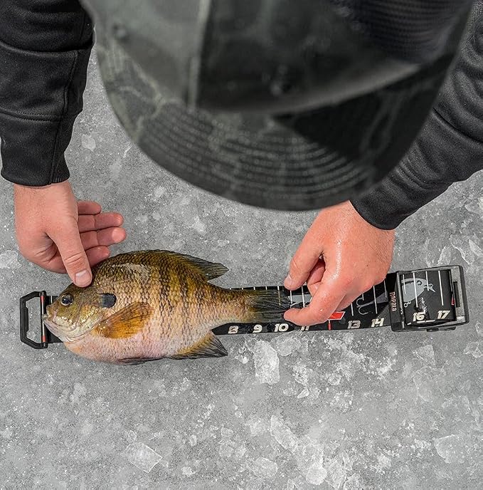 Rapala 60 Inch Retractable Fish Measuring Ruler | Tournament Fish Measuring