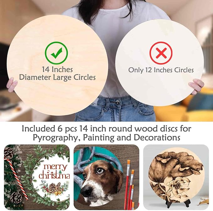 6 Pack 14 Inch Wood Rounds Circles