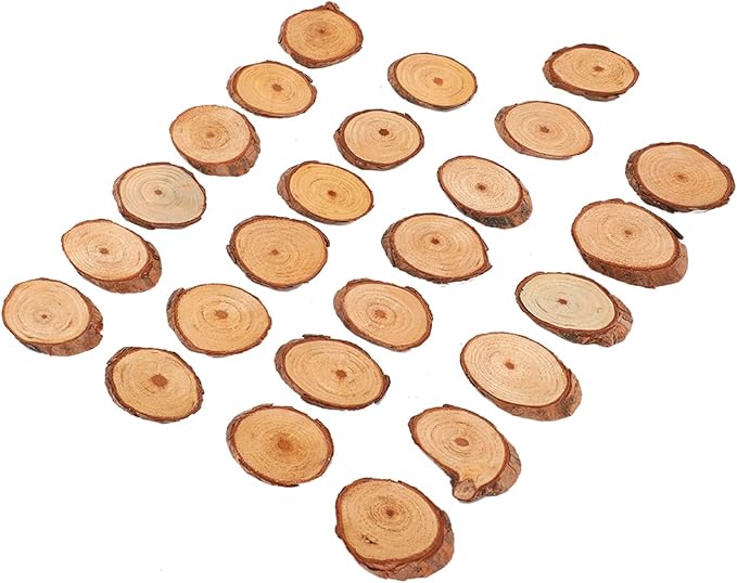 Rustic Unfinished Wooden Ornament Craft Kit 25 Piece DIY Blank Set