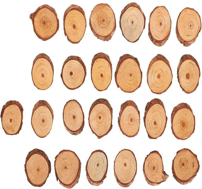 Rustic Unfinished Wooden Ornament Craft Kit 25 Piece DIY Blank Set