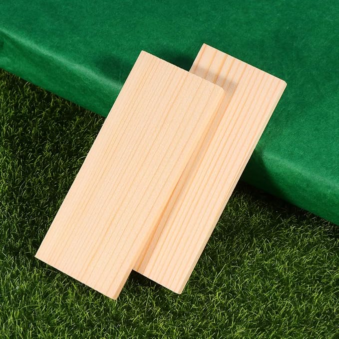20pcs Basswood Carving Unfinished Wood Boards Sheets Beginners Premium Carving