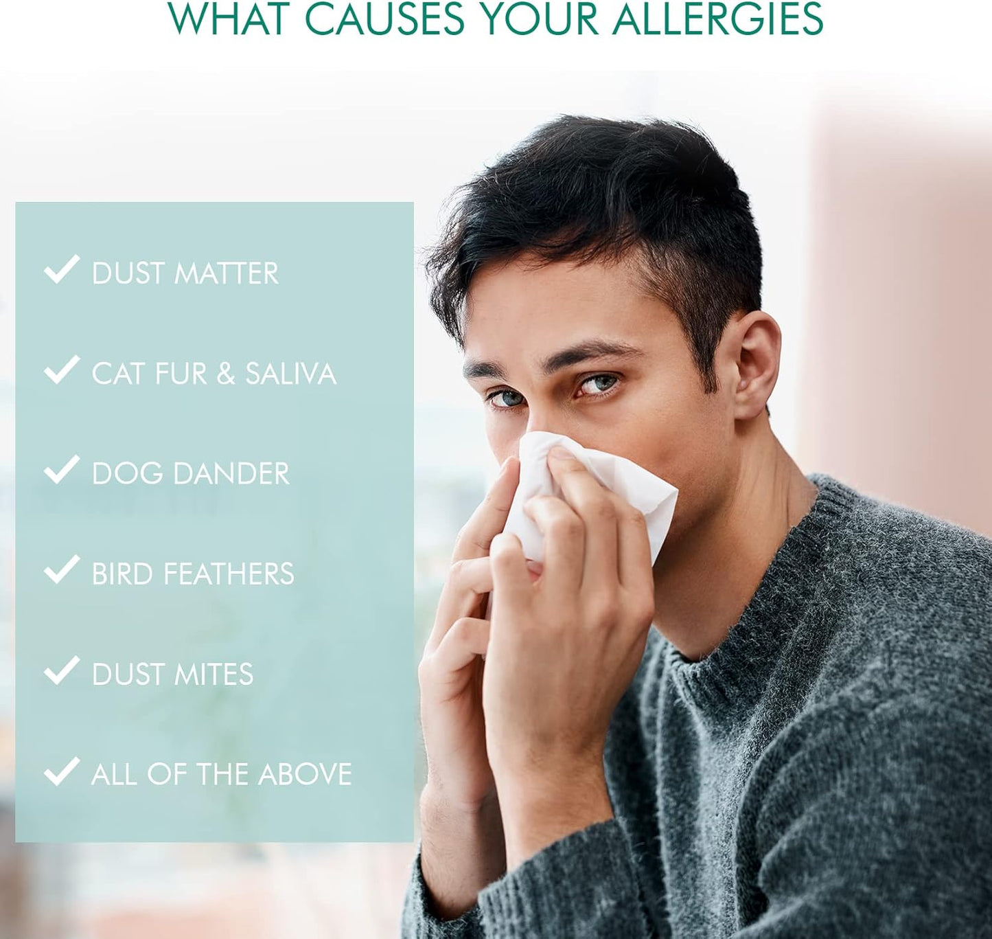Easy Air Organic Allergy Relief Spray, Clear Liquid Formula for Instant Relief for Symptoms of Pet Allergies, Dust and Mite Allergy - 16 Fl Oz