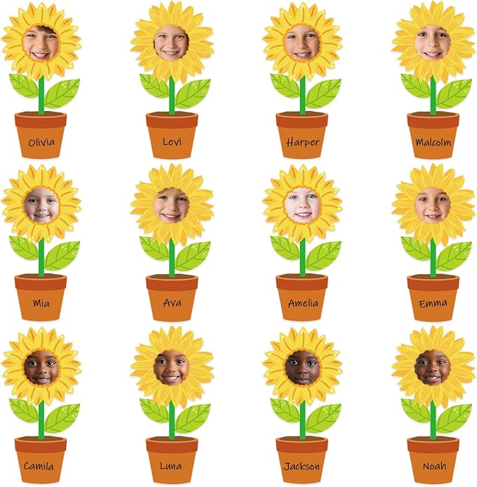 48 Set Sunflower Cutouts with Photo Space