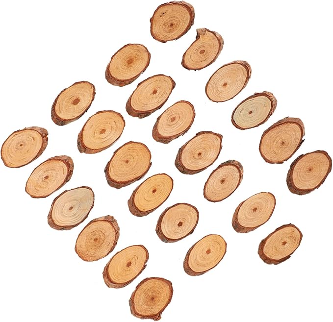 Rustic Unfinished Wooden Ornament Craft Kit 25 Piece DIY Blank Set
