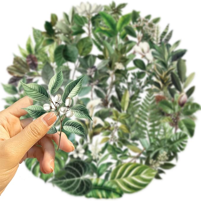 50pcs Transparent Green Leaf Sticker