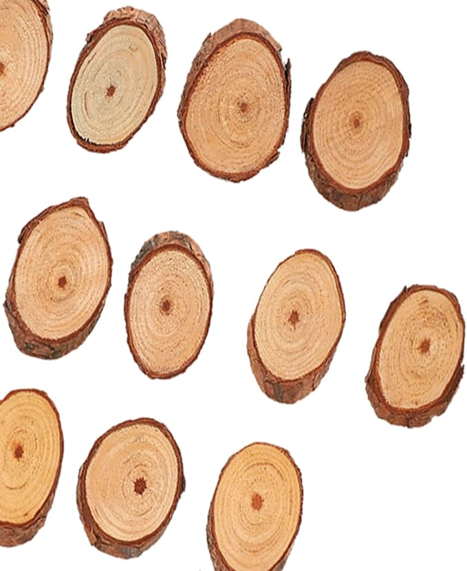 Rustic Unfinished Wooden Ornament Craft Kit 25 Piece DIY Blank Set