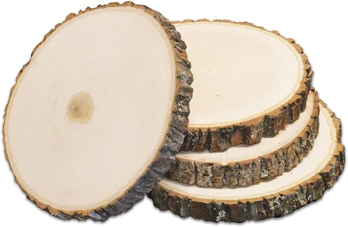 Wilson 4 Pack Basswood Round Rustic Wood Slice, Sanded Side, 9-12" Diameter