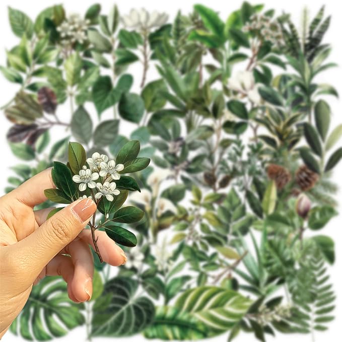 50pcs Transparent Green Leaf Sticker