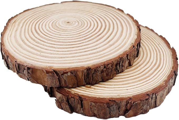Natural Round Discs Rustic Wood Slices 4 PCS 9-10 inch Unfinished Wood kit