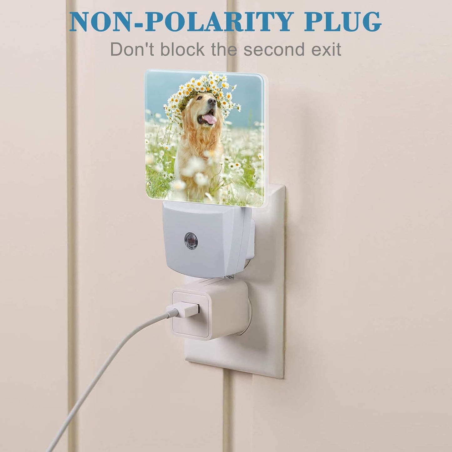 Plug in Night Lights Golden Retriever with Daisy Wreath Night Light with Dusk to Dawn Sensor Night Light for Kid Girls Boys Women Men Room Decor, Hallway, Kitchen, Bathroom, Nursery, Stairs
