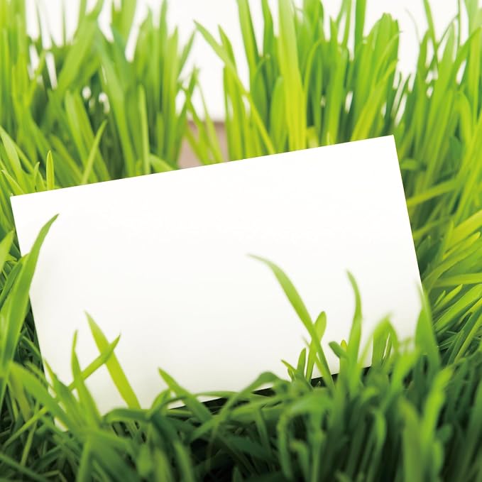 100 Sheets White Cardstock Thick Paper