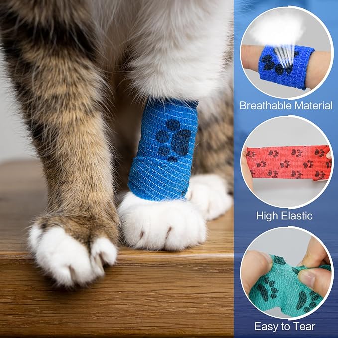 6pcs 2" Self Adhesive Bandage Wraps, Paw Prints B |