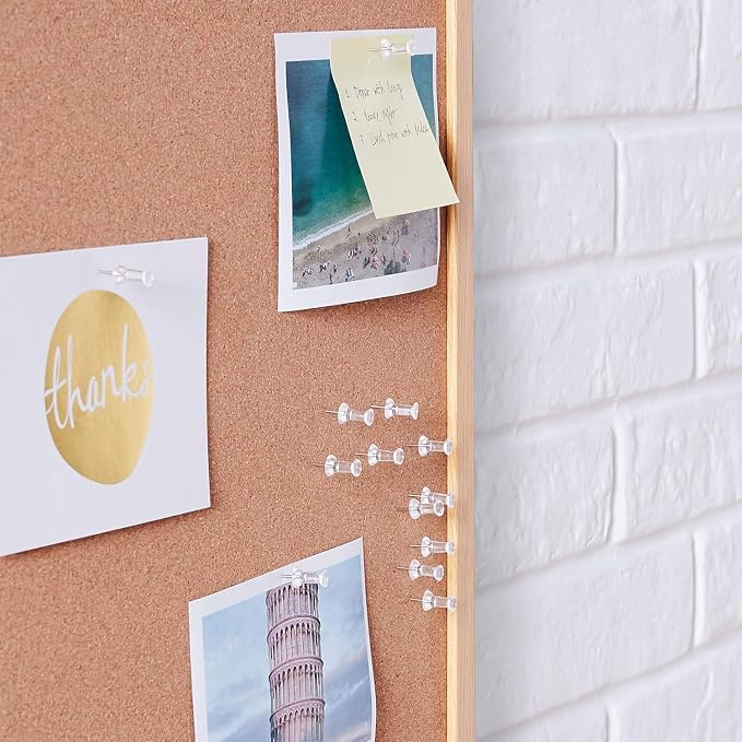 Amazon Basics Push Pins, Steel Point
