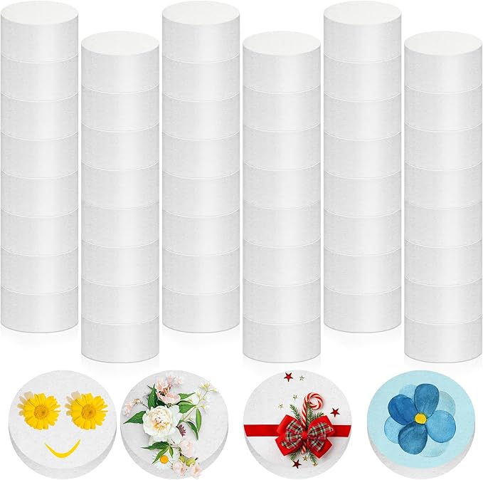 Henoyso 48 Pcs 2 Inch Foam Circles