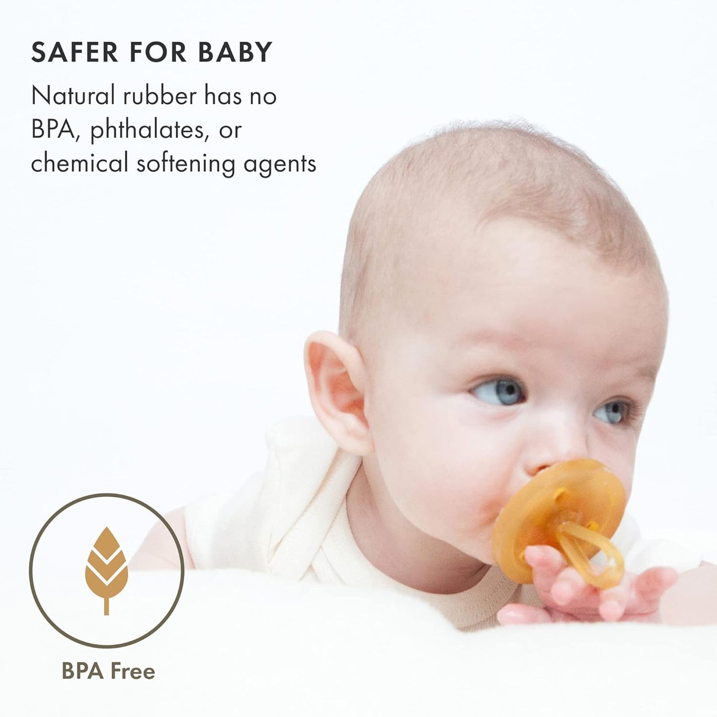Natursutten Pacifiers 6-12 Months - 1-Pack Original Shield Orthodontic Nipple Natural Rubber Safe & Soft BPA-Free Pacifiers for Breastfeeding Babies - Newborn Pacifiers Made in Italy