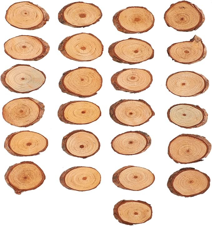 Rustic Unfinished Wooden Ornament Craft Kit 25 Piece DIY Blank Set