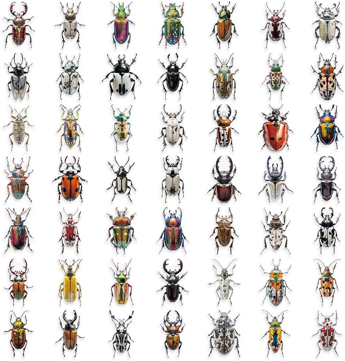 50 PCS Realistic Beetle Stickers