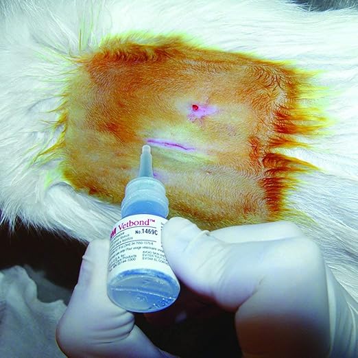 3M Vetbond Tissue Adhesive 0.1 oz – Fast-Acting Veterinary Wound Glue