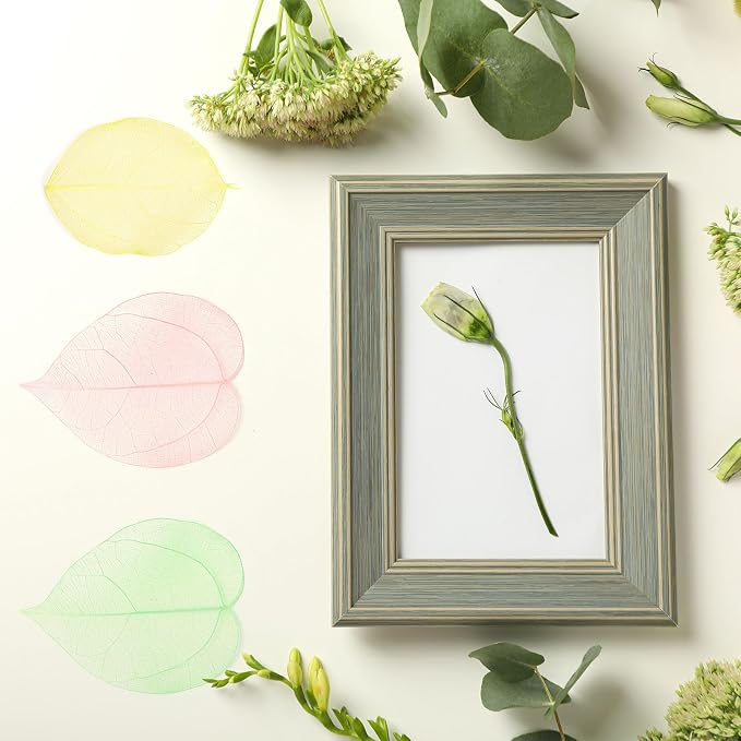uxcell 100 Pcs Light Pink Skeleton Leaves