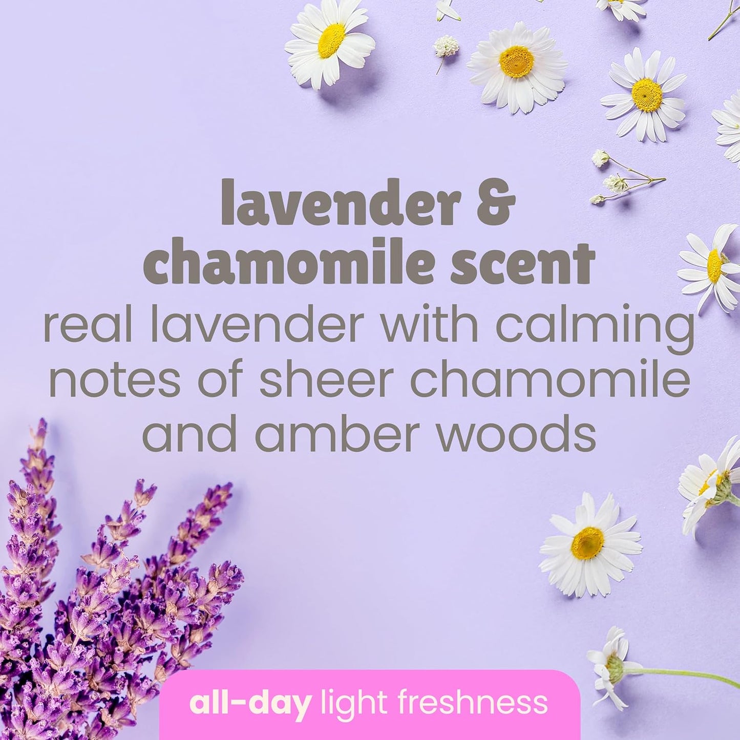 Baby Magic Calming Lotion | Helps Comfort and Relax Before Bedtime | Lavender & Chamomile | 16.5 fl oz. (6 Pack)