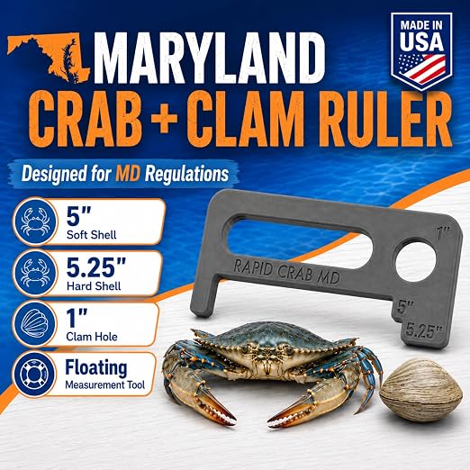 Crab Measurement Tool for MD Blue Crabs and Clams | Regulation Soft Shell
