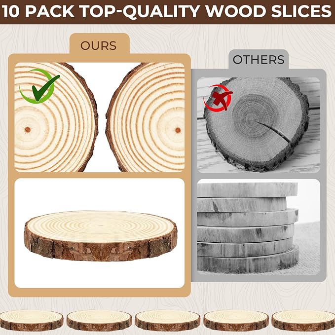 FSWCCK 10 PCS Unfinished Wood Slices