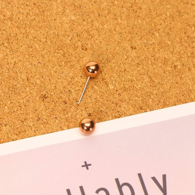 Tupalizy 100PCS 1/4 Inch Small Round Head Map Tacks Pins