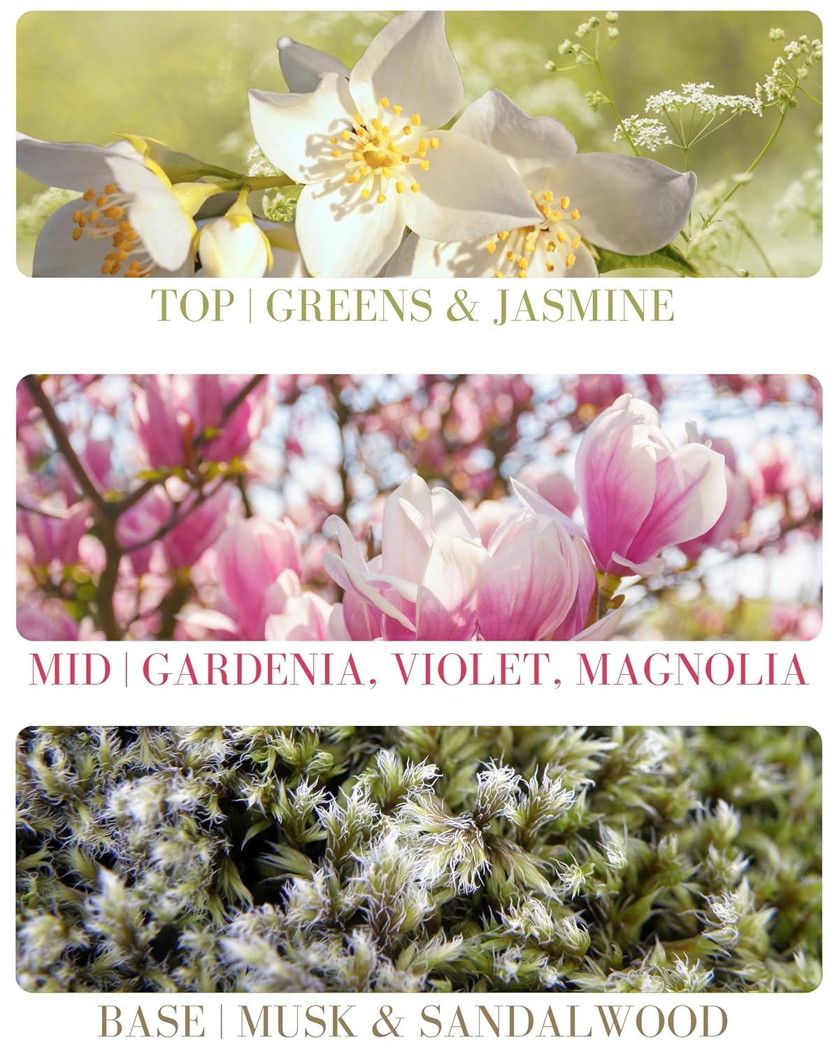Gardenia Delicious Pure Essential and Fragrance Oil Perfume Roll On with Organic Jojoba Oil, Alcohol Free, Small-Batch, Made in California, 0.34 Fl Oz