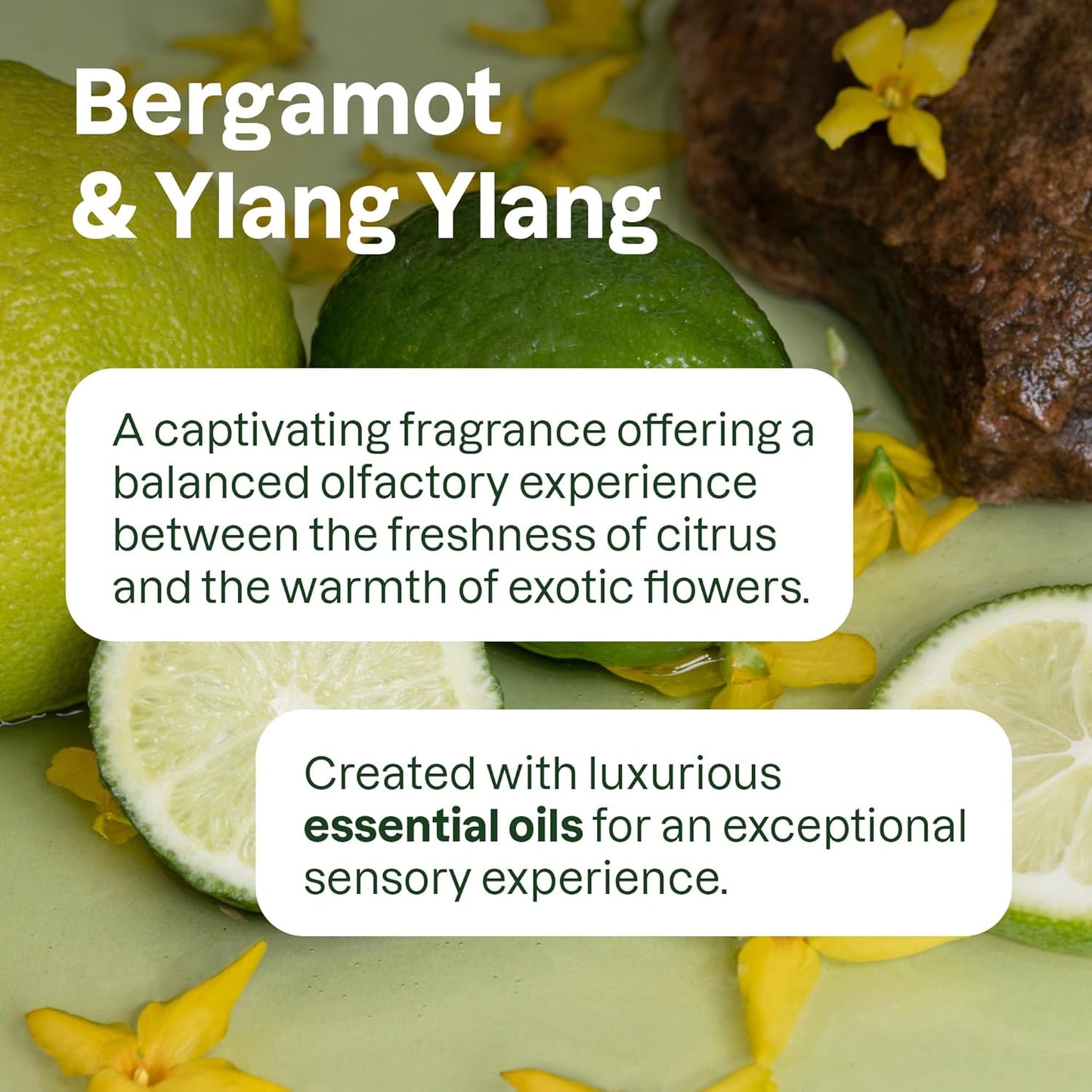 ATTITUDE Nourishing Shampoo Refill, Bergamot & Ylang Ylang, EWG Verified with Essential Oils, Vegan & Plant-Based, Moisturizing Hair Care for Dry Hair, 67.6 Fl Oz