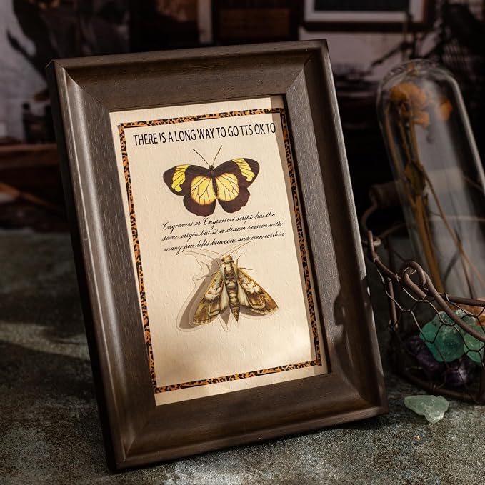 100PCS Insect Specimen PET Stickers – Bug-Themed Waterproof Decals Featuring
